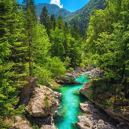 Brvnara Primus Near Gorge - Happy *