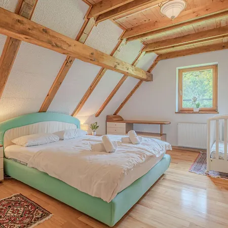 Primus Near Gorge - Happy Brvnara