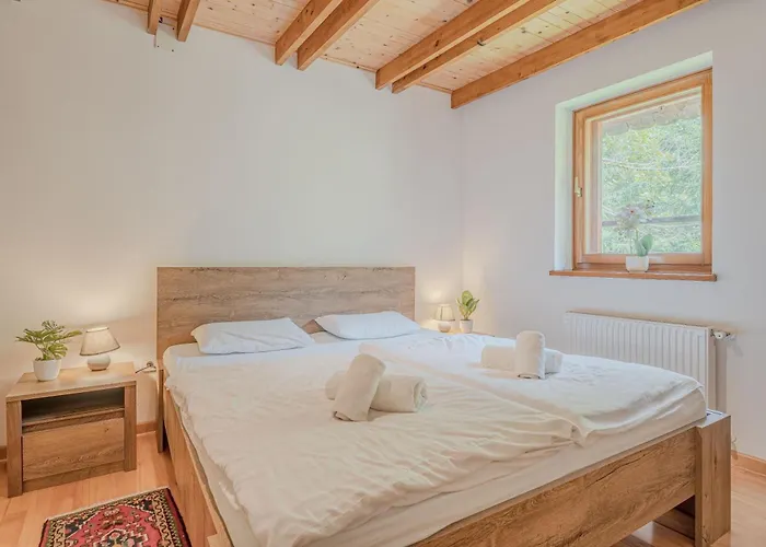 Primus Near Gorge - Happy *