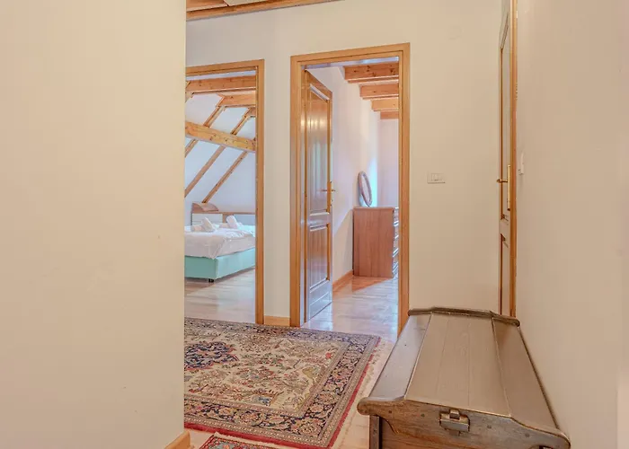 Primus Near Gorge - Happy