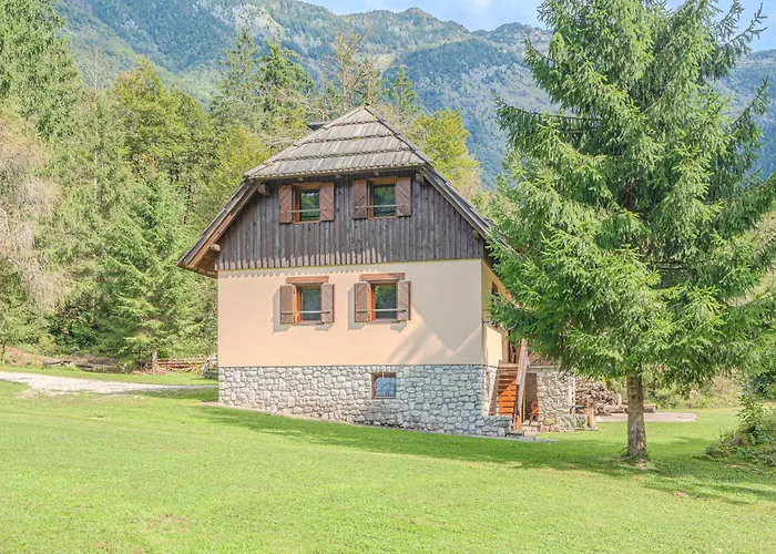 Primus Near Gorge - Happy